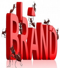 phát triển thương hiệu