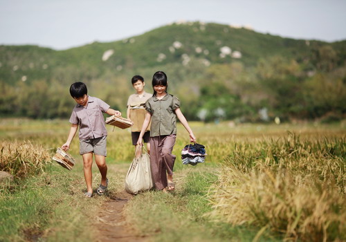 Chiến dịch truyền thông của Tôi thấy hoa vàng trên cỏ xanh