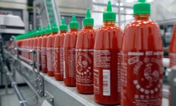 thương hiệu Việt trên đất Mỹ