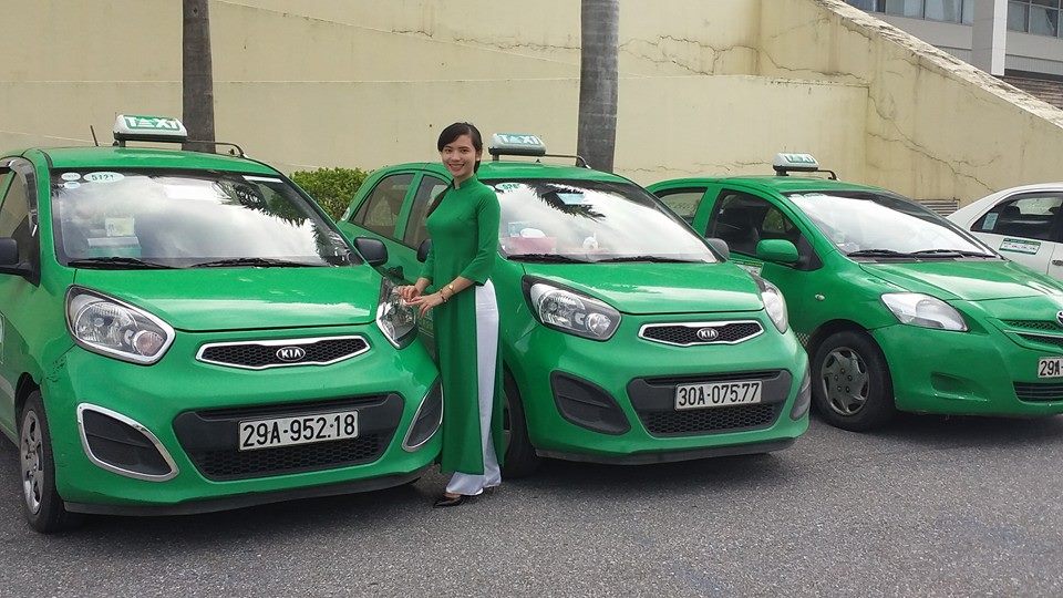 doanh thu của Mai Linh