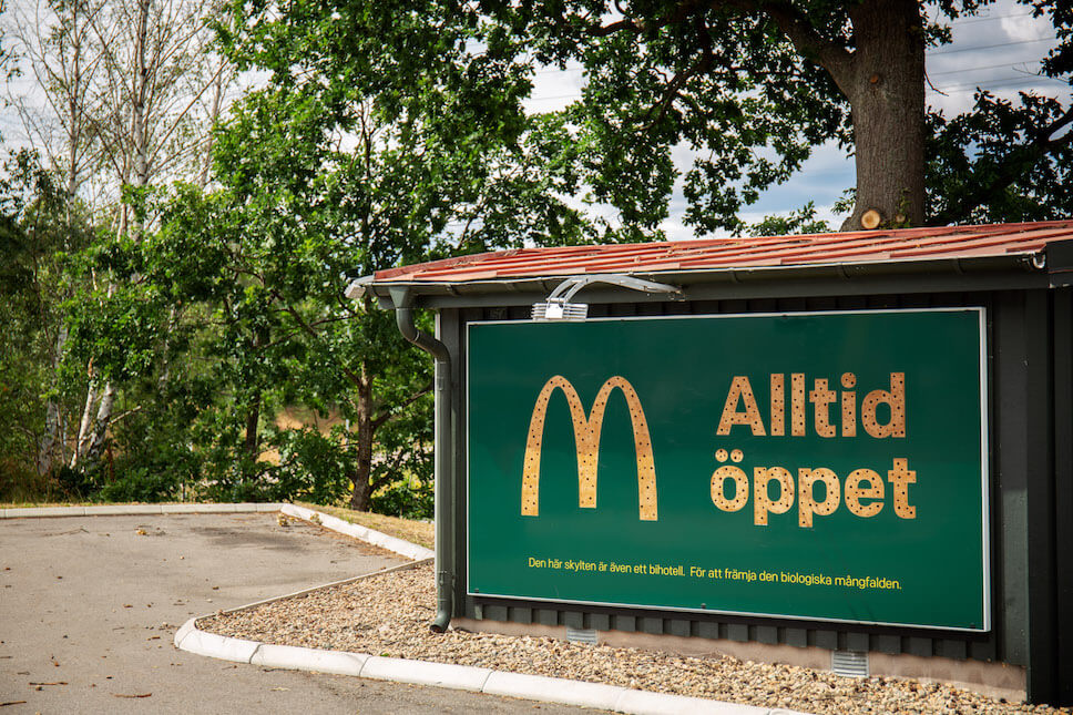 mcdonald's xây khách sạn cho ong